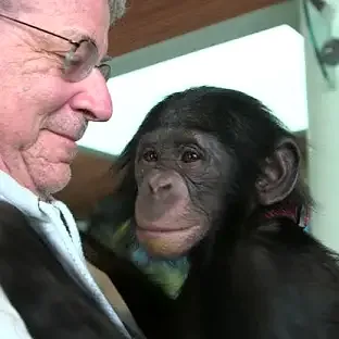 Maître Steven Wise tenant dans ses bras un chimpanzé